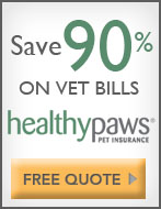 Healthy Paws Pet Insurance and Foundation